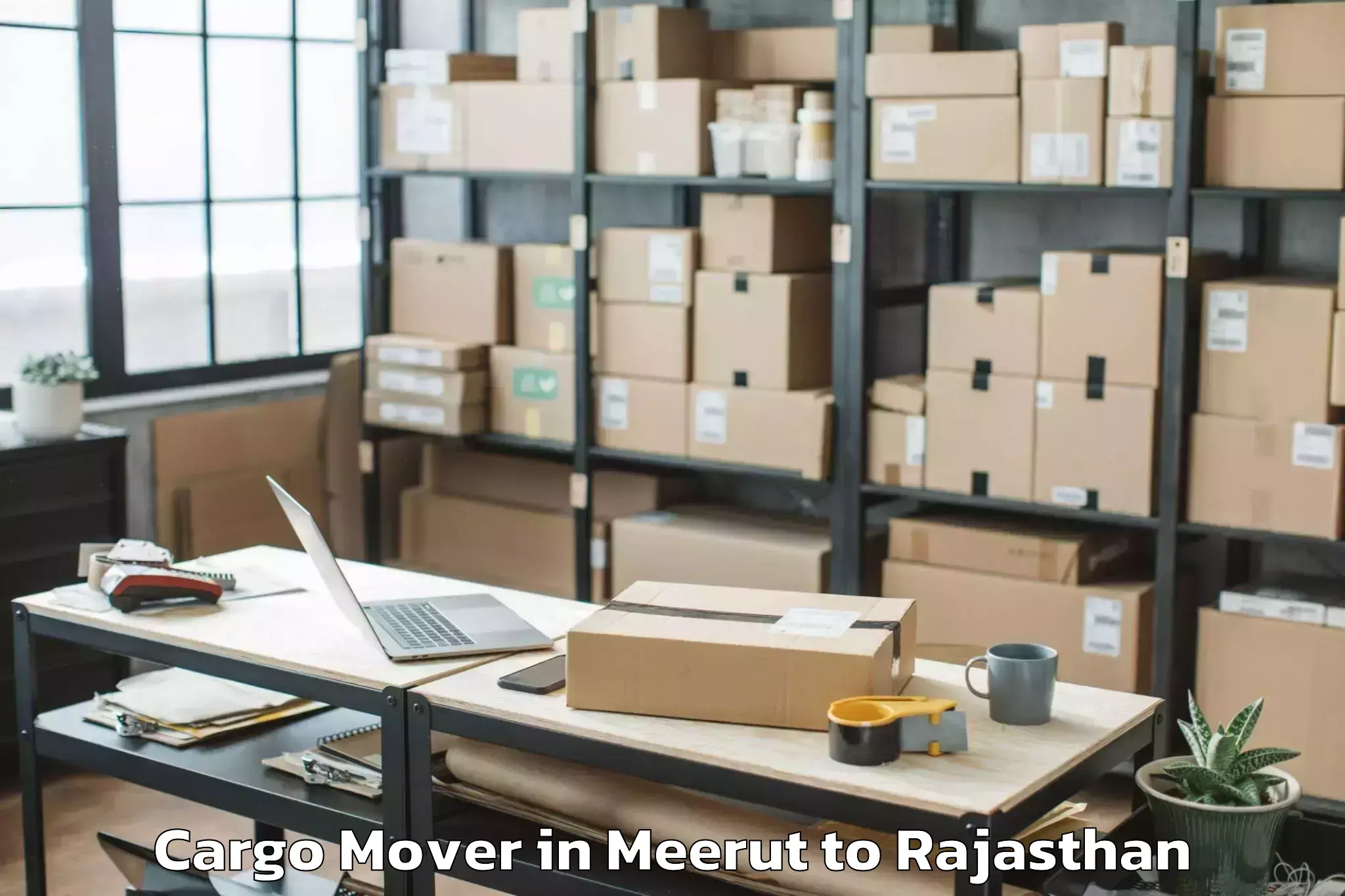 Expert Meerut to Sangam University Bhilwara Cargo Mover